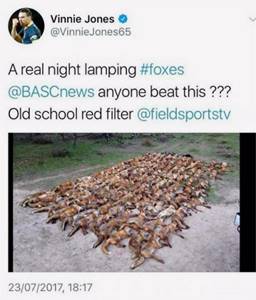 Шокирующее фото сотни мертвых лисиц на странице Винни Джонса